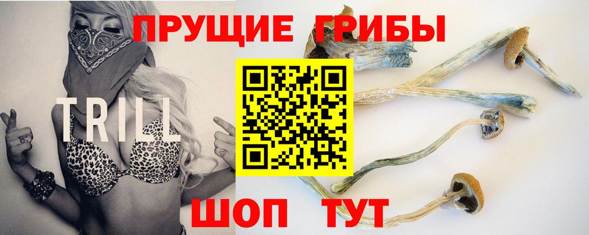 сколько стоит  Вход с VPN  Кулебаки  Псилоцибиновые грибы Magic Shrooms 